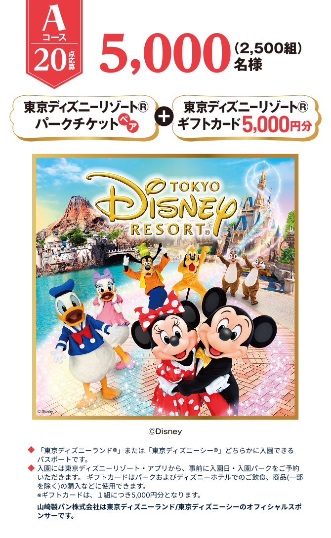 Aコース