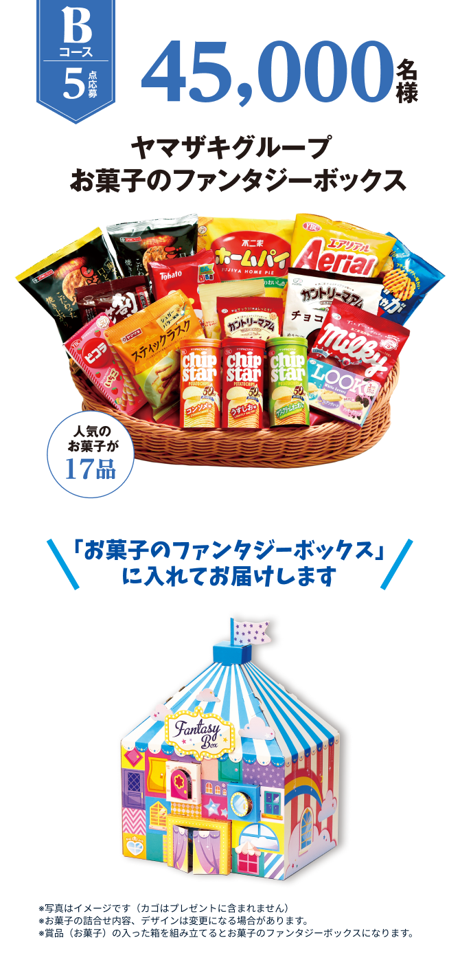Bコース